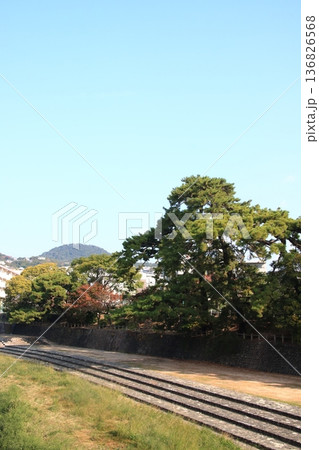 夙川沿いの松の木がある公園と甲山：兵庫県西宮市(縦長) 136826568