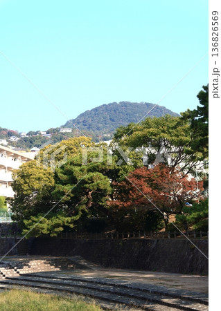 紅葉した木がある夙川沿いの公園と甲山:兵庫県西宮市(縦長) 紅葉した木がある夙川沿いの公園と甲山:兵庫県西宮市(縦長) 136826569