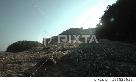 ice coffee on wooden background 136826613