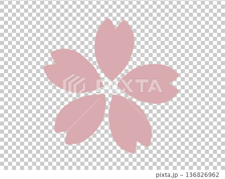 淺粉紅色櫻花插圖 淺粉紅色櫻花插圖 136826962