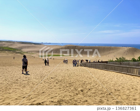 人々で賑わう鳥取砂丘 136827361