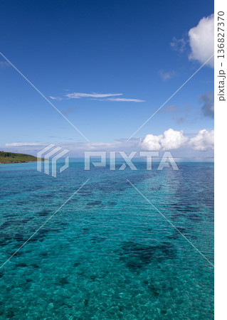 広がる透明なターコイズブルーの海と南国の青空 136827370