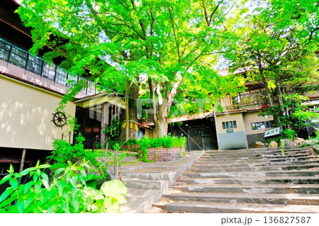 小樽市指定歴史的建造物 第2号 旧魁陽亭 小樽市指定歴史的建造物 第2号 旧魁陽亭 136827587