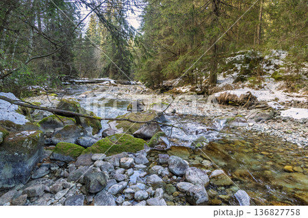 Tranquil mountain stream cascades over mossy rocks, surrounded by dense evergreen forest and patches of lingering snow under the open sky. High Tatras National Park, Slovakia, Europe. Tranquil mountain stream cascades over mossy rocks, surrounded by dense evergreen forest and patches of lingering snow under the open sky. High Tatras National Park, Slovakia, Europe. 136827758