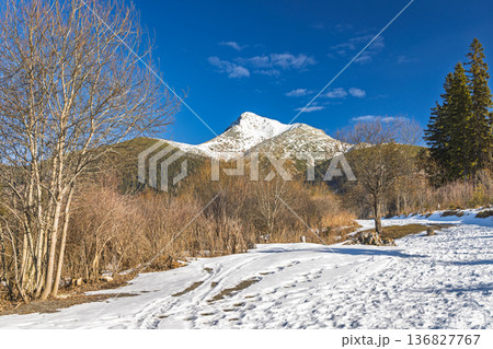 Krivan mountain in High Tatras National Park, Slovakia, Europe. Scenic winter view of snow-dusted mountain peaks against a vibrant blue sky, set in a landscape dotted with trees and winter foliage. 136827767