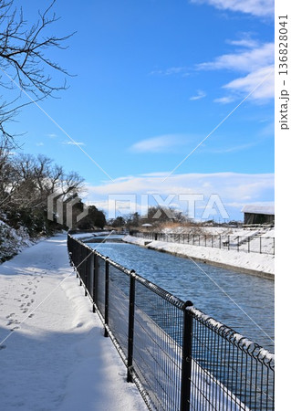 冬の鷲ノ木遊歩道と水辺風景（新潟県新潟市） 136828041