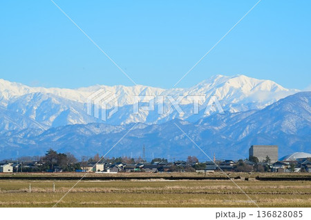 冬の越後平野と飯豊連峰（新潟県新潟市） 136828085