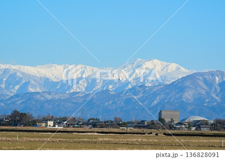 冬の越後平野と飯豊連峰（新潟県新潟市） 136828091