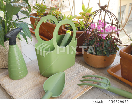 Potted flowers on balcony. Gardening tools. Nature and plant care. Interior design. 136829075