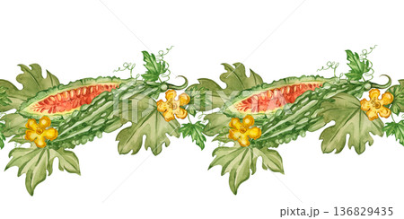 A seamless border of bitter melon, sliced fruit, yellow flowers, and green leaves. Hand-drawn with watercolors. A healthy ingredient. Illustration for textile design. A seamless border of bitter melon, sliced fruit, yellow flowers, and green leaves. Hand-drawn with watercolors. A healthy ingredient. Illustration for textile design. 136829435
