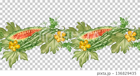 A seamless border of bitter melon, sliced fruit, yellow flowers, and green leaves. Hand-drawn with watercolors. A healthy ingredient. Illustration for textile design. A seamless border of bitter melon, sliced fruit, yellow flowers, and green leaves. Hand-drawn with watercolors. A healthy ingredient. Illustration for textile design. 136829435