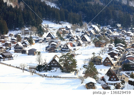 【岐阜県】城山展望台から見た白川郷の雪景色 【岐阜県】城山展望台から見た白川郷の雪景色 136829459