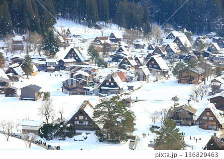 【岐阜県】城山展望台から見た白川郷の雪景色 136829463