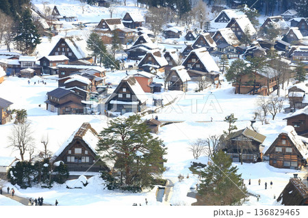 【岐阜県】城山展望台から見た白川郷の雪景色 136829465