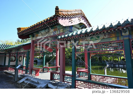 秋の天寿園で見られる中国庭園の風景(新潟県新潟市) 秋の天寿園で見られる中国庭園の風景(新潟県新潟市) 136829508