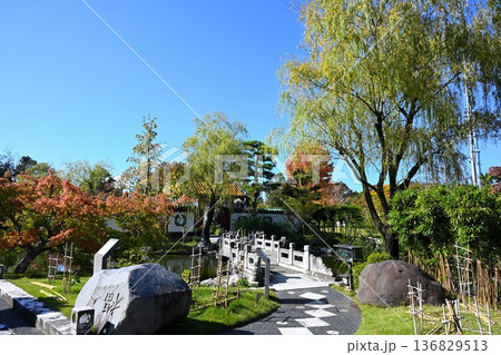 秋の天寿園で見られる中国庭園の風景（新潟県新潟市） 136829513