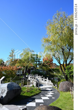 秋の天寿園で見られる中国庭園の風景(新潟県新潟市) 秋の天寿園で見られる中国庭園の風景(新潟県新潟市) 136829514
