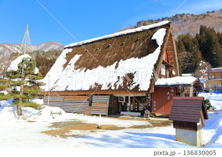 【岐阜県】快晴の白川郷の雪景色 136830005