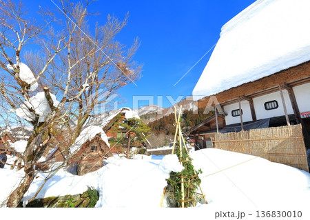 【岐阜県】快晴の白川郷の明善寺庫裡の雪景色（明善寺郷土館） 136830010