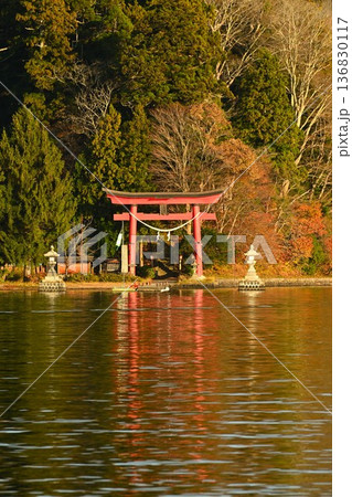 紅葉に彩られた野尻湖の湖畔風景（長野県信濃町） 136830117