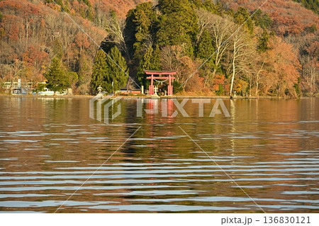 紅葉に彩られた野尻湖の湖畔風景(長野県信濃町) 紅葉に彩られた野尻湖の湖畔風景(長野県信濃町) 136830121