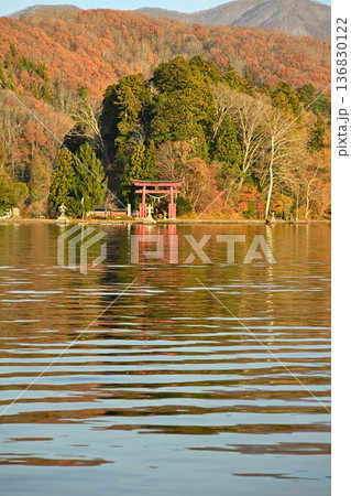 紅葉に彩られた野尻湖の湖畔風景(長野県信濃町) 紅葉に彩られた野尻湖の湖畔風景(長野県信濃町) 136830122
