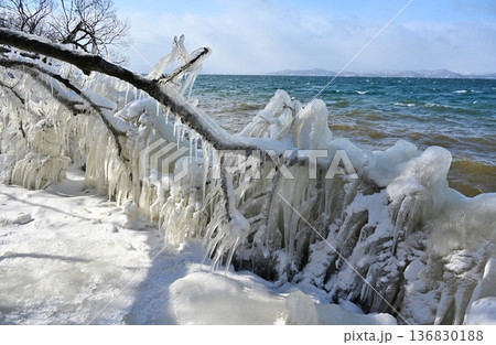猪苗代湖のしぶき氷　福島 136830188