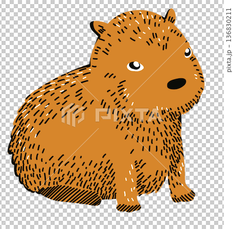 capybara cartoon illustration cute animal art 136830211