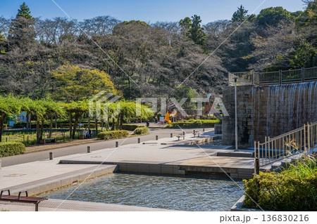 藤枝市の蓮華寺池公園の風景(静岡県) 藤枝市の蓮華寺池公園の風景(静岡県) 136830216