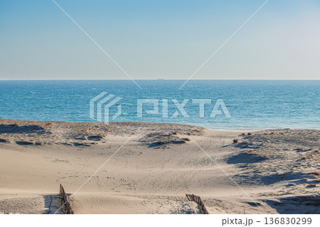 浜松市の中田島砂丘の風景(静岡県) 136830299