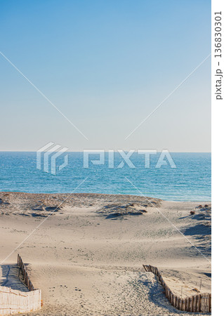 浜松市の中田島砂丘の風景(静岡県) 136830301