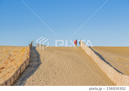 浜松市の中田島砂丘の風景(静岡県) 浜松市の中田島砂丘の風景(静岡県) 136830302