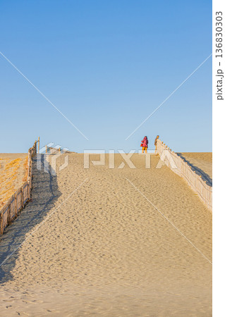 浜松市の中田島砂丘の風景(静岡県) 136830303