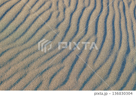 浜松市の中田島砂丘の風景(静岡県) 136830304