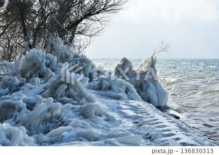 猪苗代湖のしぶき氷 福島 猪苗代湖のしぶき氷 福島 136830313