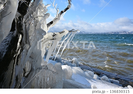 猪苗代湖のしぶき氷 福島 猪苗代湖のしぶき氷 福島 136830315