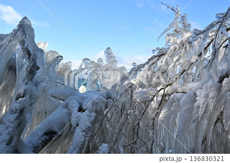 猪苗代湖のしぶき氷　福島 136830321