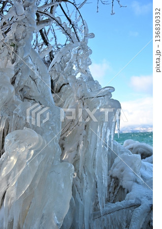 猪苗代湖のしぶき氷　福島 136830332
