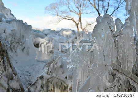 猪苗代湖のしぶき氷 福島 猪苗代湖のしぶき氷 福島 136830387