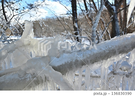 猪苗代湖のしぶき氷　福島 136830390