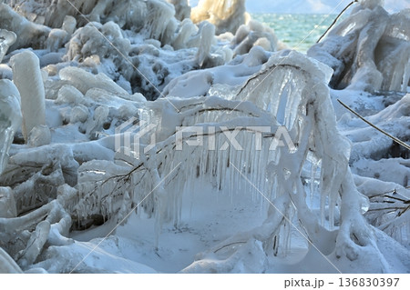猪苗代湖のしぶき氷　福島 136830397
