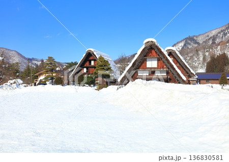 【岐阜県】快晴の白川郷の雪景色(和田家) 【岐阜県】快晴の白川郷の雪景色(和田家) 136830581
