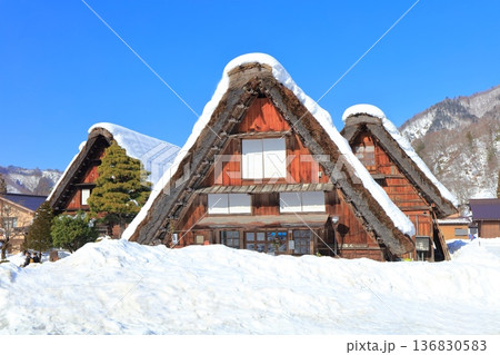 【岐阜県】快晴の白川郷の雪景色（合掌造三小屋） 136830583