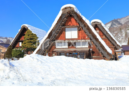 【岐阜県】快晴の白川郷の雪景色(合掌造三小屋) 【岐阜県】快晴の白川郷の雪景色(合掌造三小屋) 136830585
