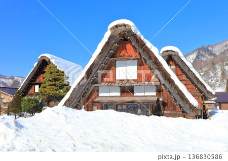 【岐阜県】快晴の白川郷の雪景色(合掌造三小屋) 【岐阜県】快晴の白川郷の雪景色(合掌造三小屋) 136830586