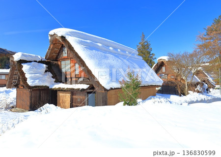 【岐阜県】快晴の白川郷の雪景色 【岐阜県】快晴の白川郷の雪景色 136830599