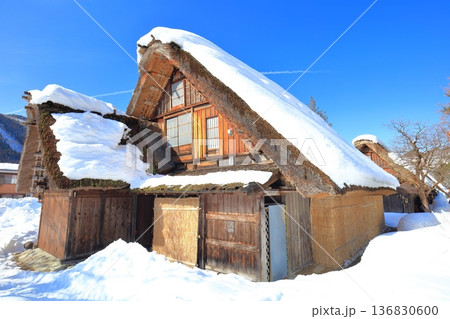 【岐阜県】快晴の白川郷の雪景色 136830600