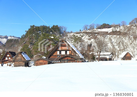 【岐阜県】快晴の白川郷の雪景色（和田家） 136830801