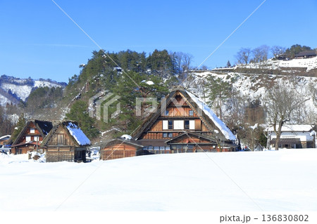 【岐阜県】快晴の白川郷の雪景色（和田家） 136830802