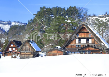 【岐阜県】快晴の白川郷の雪景色（和田家） 136830803